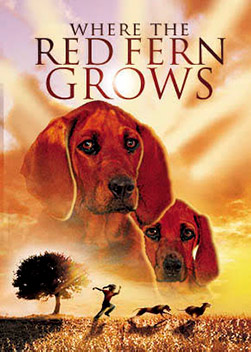 Billy yearns for two hound dogs, which his parents can't afford during the Depression in the Ozarks. After earning enough to buy two Redbone Coon Hounds, Billy and his dogs have an adventure filled with suspense, tragedy and ultimately, a love and loyalty of family and friendship.