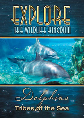 Explore the Wildlife Kingdom: Dolphins, Tribes of the Sea