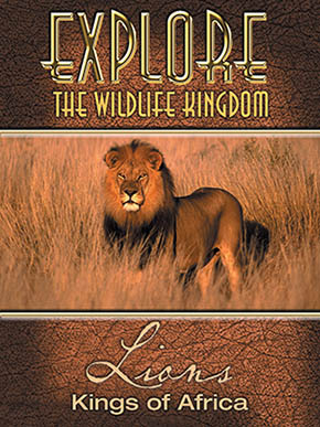 Explore the Wildlife Kingdom: Lions, Kings of Africa