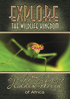 Explore the Wildlife Kingdom: The Hidden World of Africa